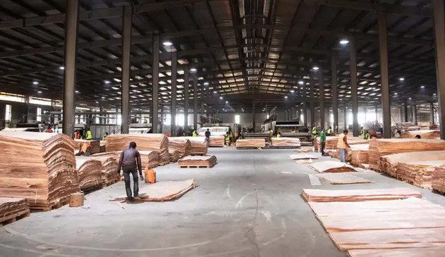 ZIS d’Ikolo : l’indien Greenply exporte le 1er container de feuilles de placage, 9 mois après sa création