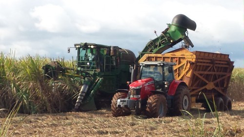 Le Gabon veut passer la production sucrière à 40 000 tonnes par an
