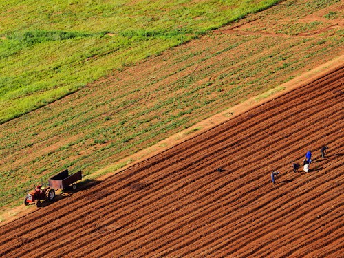 Le Gabon s’est doté d’un plan national d’investissement agricole