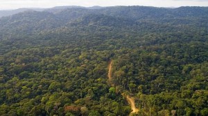 La 6ème phase du programme Ecofac bénéficiera de 100 millions d’euros de l’Union européenne  