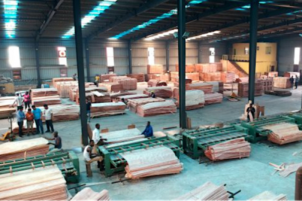 Déroulage et le placage du bois: 2 entreprises sont entrées en production dans la Zes de Nkok en janvier 2021