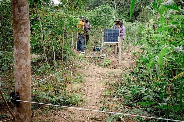 conflit-homme-elephant-les-populations-de-villages-bissobinam-et-no-ayong-experimentent-les-barrieres-electriques