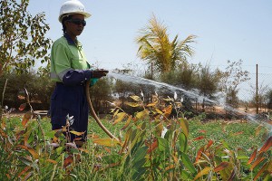 Eramet annonce la tenue d’un colloque entre le Gabon et le Sénégal pour tabler sur ses objectifs en matière de réhabilitation des sites miniers