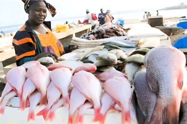peche-artisanale-le-gabon-mobilise-25-milliards-fcfa-pour-briser-l-emprise-etrangere