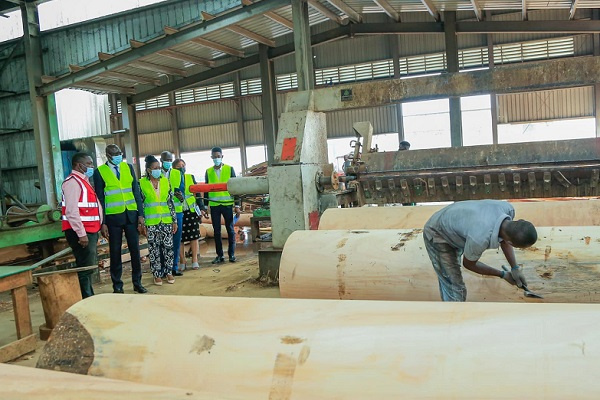 Filière bois : le Sénégal prospecte dans la zone économique spéciale de Nkok
