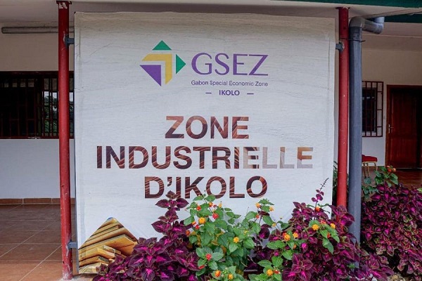 ZIS d’Ikolo : 500 containers de feuilles de placage exportés en trois mois