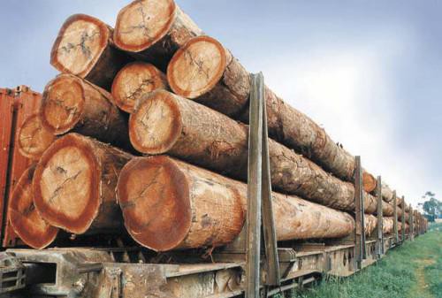 Au premier semestre 2018, l’Indonésie a damé le pion au Gabon et au Cameroun sur les exportations du bois vers le marché européen