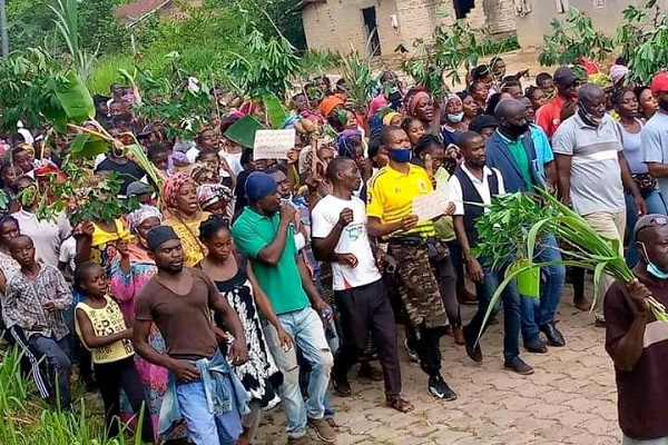 Conflit homme-faune à Mékambo : les autorités tentent d’apaiser les tensions