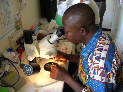 Ebola et paludisme : le Gabon annonce un vaccin « très bientôt » sur le marché