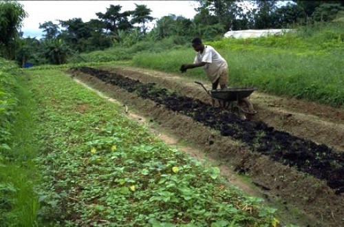 Les autorités gabonaises misent sur l’expérience marocaine pour la mise en place d’un Fonds pour l’agriculture