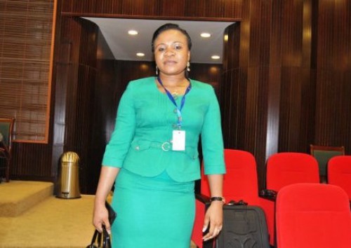 La Cemac planche sur les réformes institutionnelles de l’Union économique des Etats de l’Afrique centrale