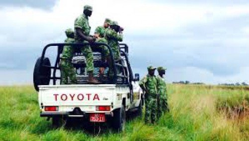 Le Gabon, le Ghana, le Niger, la RDC et le Togo planchent sur l’adoption d&#039;une politique commune de protection de la faune et de la flore à Lomé