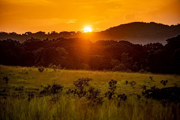 Écotourisme : la campagne « Merveilles du Gabon » lancée pour mettre en avant la beauté du pays