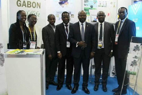 Le Gabon présente les opportunités d’investissement dans les hydrocarbures et le tourisme à la Ticad 7