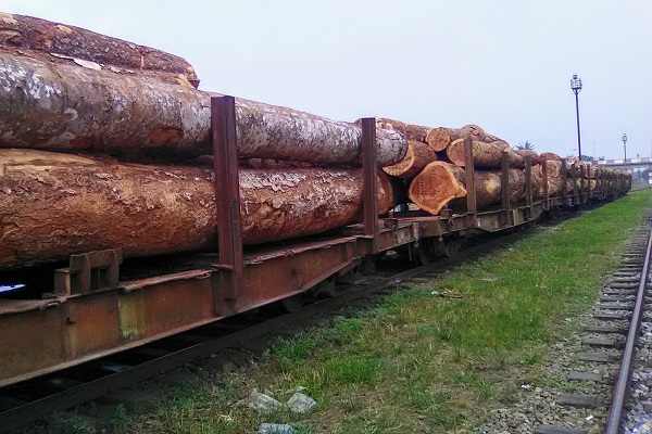 En janvier dernier, 81216 m3 de grumes sont entrés dans la ZIS de Nkok pour être transformés, en hausse de 29%