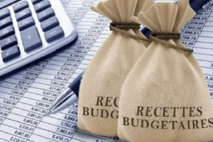 Au 30 septembre 2020, les recettes budgétaires recouvrées au Gabon sont en baisse de 20% par rapport à 2019