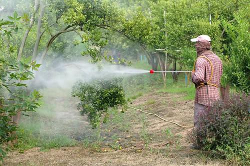 Cinq nouveaux produits phytosanitaires homologués dans la zone Cemac