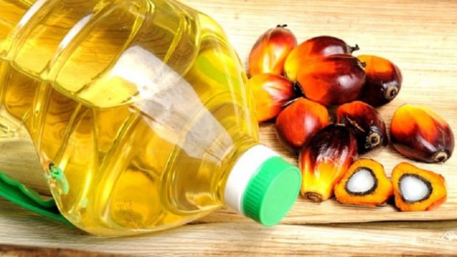 L’Aganor prépare l’entrée sur le marché européen de l’huile de palme produite au Gabon