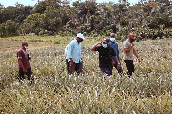 A travers la Sotrader, le Gabon prépare l’extension des villages Graines sur le plan national