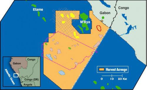Gabon: Harvest Natural met le pétrole de Dussafu dans ses priorités à court terme de 2015 