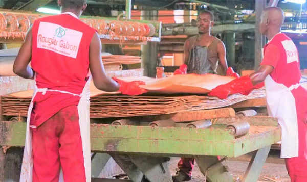 Rougier Gabon se désengage des activités de transformation industrielle du bois