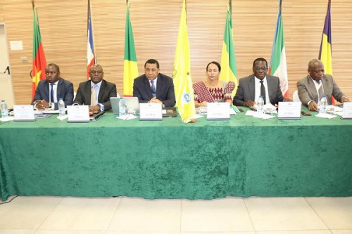 La Commission de la Cemac en cure d’oxygénation à Douala au Cameroun