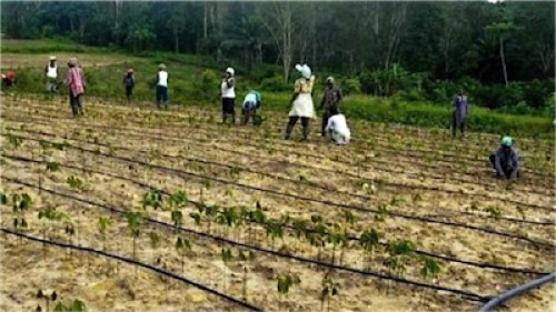 Une loi cadre relative au foncier en gestation au Gabon