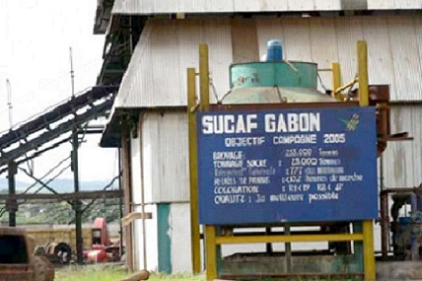 Sucre : la production de Sucaf, filiale gabonaise de Somdiaa, baisse de 25% au 1er semestre