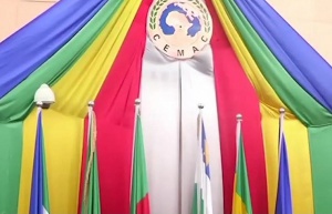 Le projet de budget 2020 de la Cemac en examen à Yaoundé