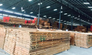 Le groupe Olam crée un régulateur environnemental pour ses structures au Gabon