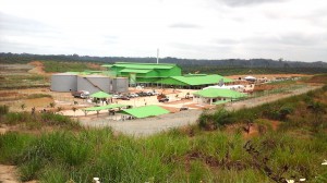 Olam Gabon revendique la création de près de 31 000 emplois dans le secteur agricole et une masse salariale de plus de 86 milliards FCFA