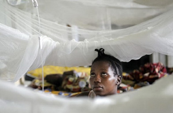 Lutte contre le paludisme : l’Afrique centrale affiche son optimisme quant à la réduction de moitié des décès d’ici 2030