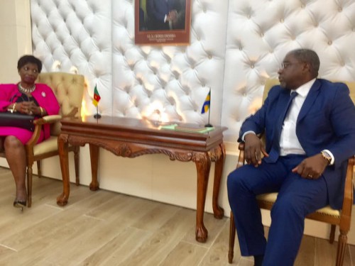 Le Gabon et le Cameroun revisitent les grands chantiers de leur coopération