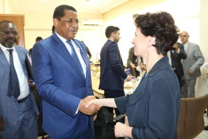 Le Plan d&#039;investissement extérieur de l’Union européenne présenté à la Commission de la Cemac