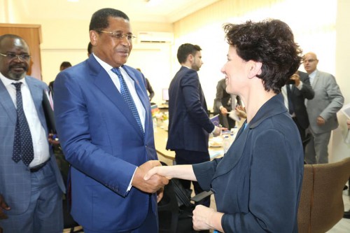 Le Plan d&#039;investissement extérieur de l’Union européenne présenté à la Commission de la Cemac