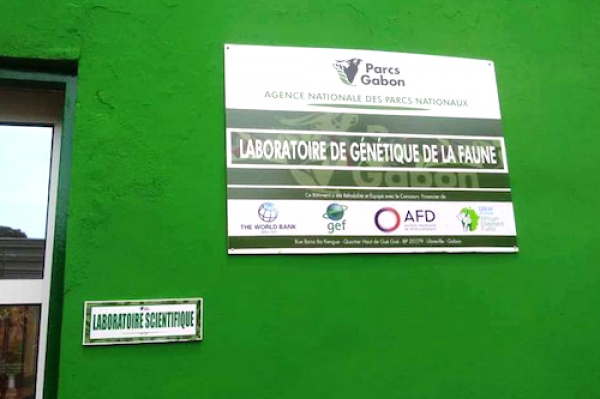 Le Gabon se dote d’un laboratoire d’analyses génétiques de la faune, une première en Afrique centrale