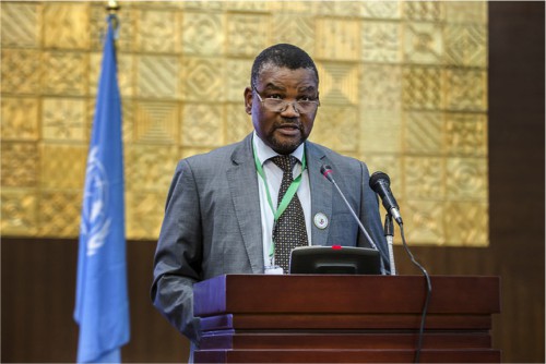 Au Gabon, la FAO entend désormais privilégier les actions à impact palpable sur les populations, notamment féminines