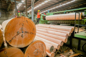 Industrie du bois : une croissance robuste au 1er trimestre portée par la transformation et la demande en Chine