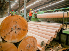 industrie-du-bois-une-croissance-robuste-au-1er-trimestre-portee-par-la-transformation-et-la-demande-en-chine