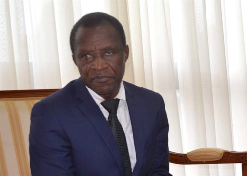 Réforme de l’Etat : travail des étrangers, redécoupage électoral et Gabonais de l’extérieur