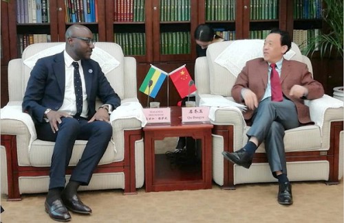 Vers un renforcement de la coopération agricole entre le Gabon et Chine 