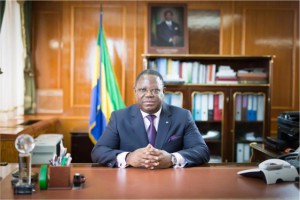 Composition du nouveau gouvernement et nomination d’un vice-président