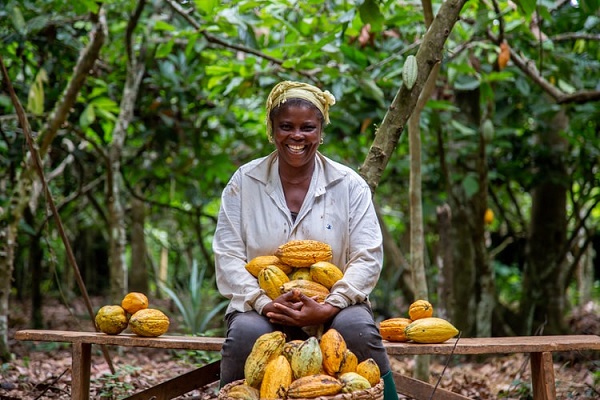 Cacao : le Gabon vise une production de 3000 tonnes à l’horizon 2025