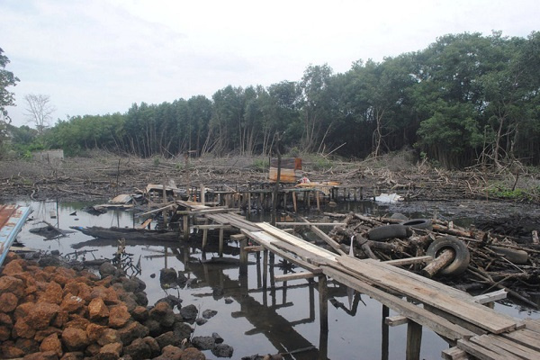 Libreville, la capitale du Gabon, a perdu 70 ha de ses mangroves entre 2017-2020 (Ageos)