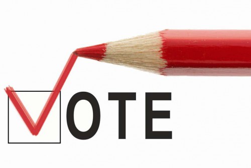 Elections partielles du 18 juin : la Cenap reçoit la liste électorale