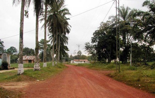 A Mekambo, Ali Bongo Ondimba promet de relancer le projet d’exploitation du fer Belinga