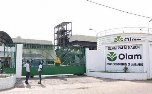 Olam Palm Gabon veut se lancer dans la production d’agrocarburants, de graisses et de margarine