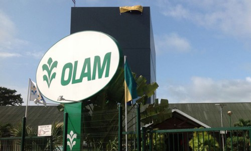 Le groupe Olam investit près de 40 millions de dollars dans la plus grande usine d’huile de palme d’Afrique, au sud du Gabon